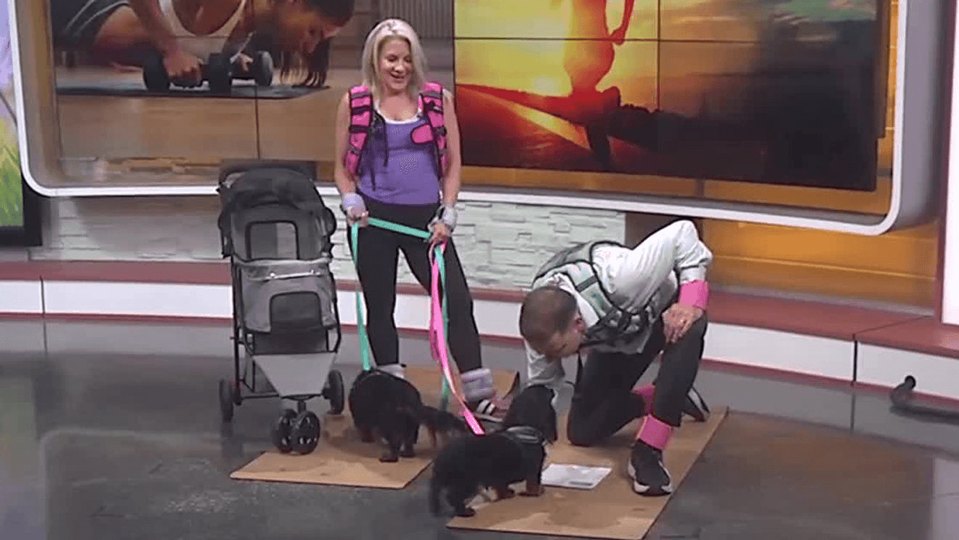 Dr. Julie Wilkes on Good Day Columbus: Simple exercises for summer energy